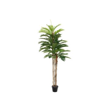 Palma kentia tessile JORGANA, 180cm