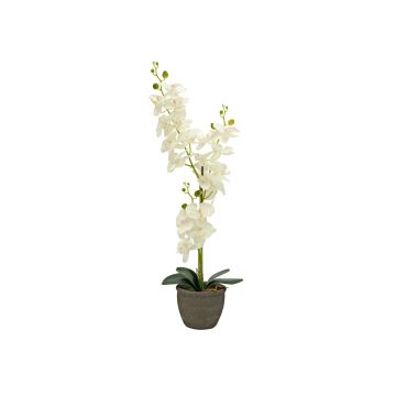 Orchidea Phalaenopsis artificiale KATALIN, vaso decorativo, crema, 80cm