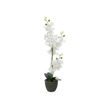 Orchidea Phalaenopsis artificiale KATALIN, vaso decorativo, bianco, 80cm
