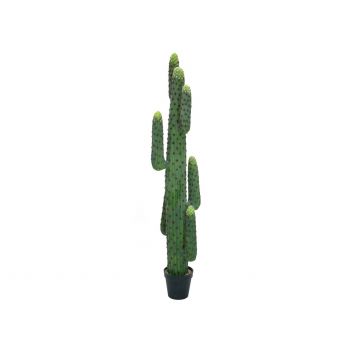 Cactus di plastica a colonna DARION, verde, 170cm