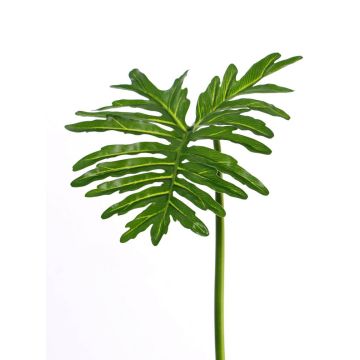 Foglia di filodendro selloum ELODIE, 90cm
