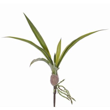 Foglie artificiali di orchidee oncidium HENNES, radici aeree, 25x40cm