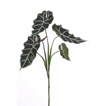Alocasia sanderiana artificiale MATHEA su stelo, verde-bianco, 75cm