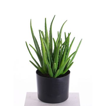 Aloe vera artificiale LAURENA, verde, 65cm, Ø25cm