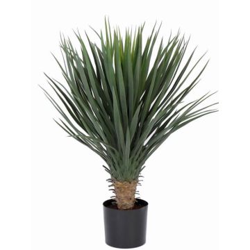 Yucca rostrata artificiale DRAKE, 80cm