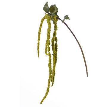 Ramo di amaranto artificiale YASIN, verde, 125cm
