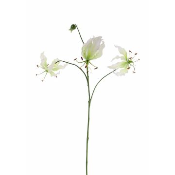 Gloriosa artificiale TIANA, bianco-verde, 80cm, Ø8-15cm