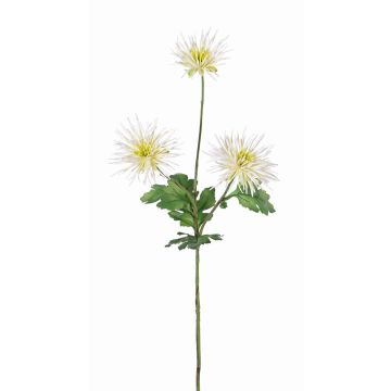 Crisantemo artificiale SOLVIE, crema, 70cm, Ø10cm