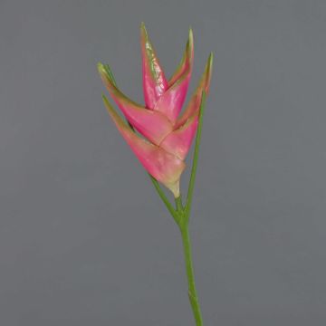 Speronella artificiale TOMKE, fucsia-verde, 80cm, Ø30cm