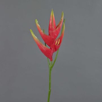 Speronella artificiale TOMKE, rosso-verde, 80cm, Ø30cm