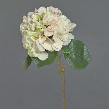 Ortensia finta CHIDORI, crema-rosa, 60cm, Ø20cm