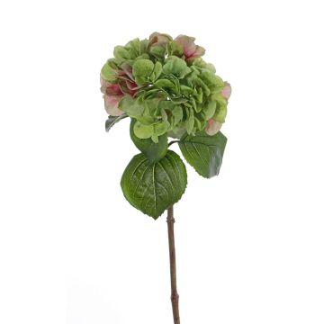 Ortensia finta CHIDORI, verde-rosa, 60cm, Ø20cm