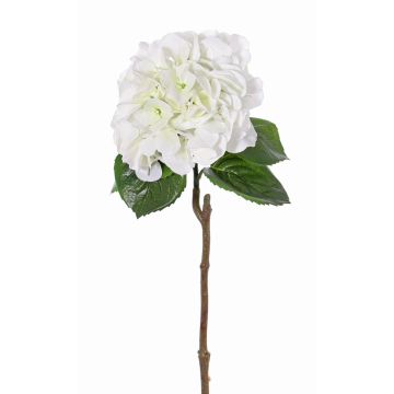 Ortensia finta CHIDORI, bianco-verde, 60cm, Ø20cm