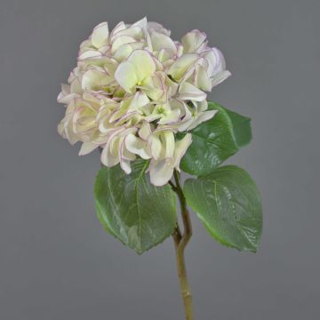 Ortensia finta CHIDORI, bianco-viola, 60cm, Ø20cm