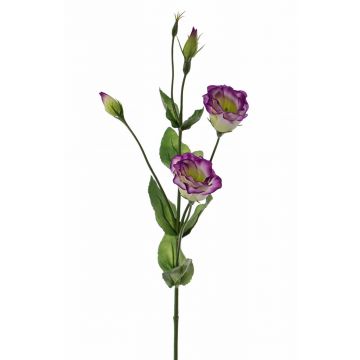 Lisianthus artificiale JUDIKA, viola-verde, 70cm, Ø5cm
