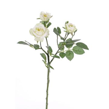Ramo di rose artificiali CORALEE, bianco-verde, 50cm, Ø3-7cm