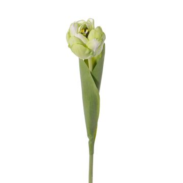 Tulipano artificiale ROMANA, verde-bianco, 45cm, Ø6cm