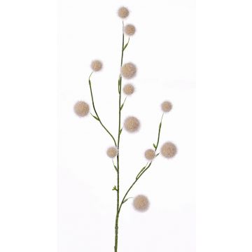 Allium artificiale EMRAH, crema, 80cm, Ø2-4cm