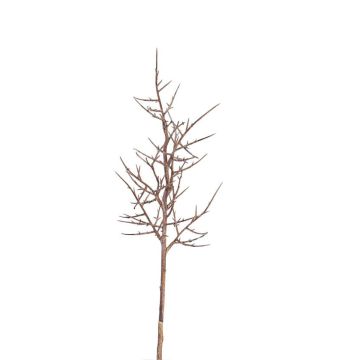 Ramo di corona di cristo artificiale OTTO, marrone, 75cm