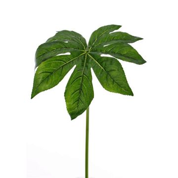 Foglia di aralia artificiale IMANA, verde, 80cm