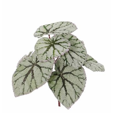 Begonia rex artificiale KATRICE su stelo, verde-grigio, 25cm