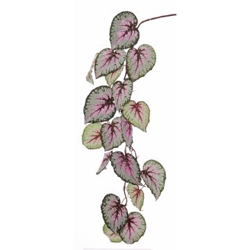 Ramo di begonia rex artificiale KATRICE, viola-verde, 110cm