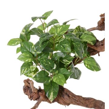 Pothos finto NAEL, stelo, difficilmente infiammabile, verde-bianco, 50cm