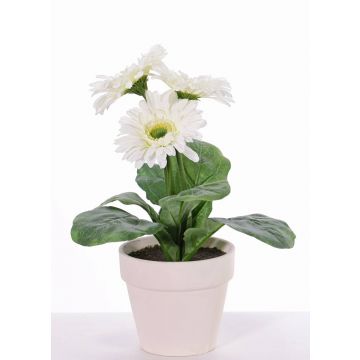 Gerbera artificiale SIMONE in vaso decorativo, bianco, 30cm, Ø9,5cm
