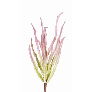 Euphorbia trigona artificiale REESE su stelo, rosa-verde, 30cm, Ø20cm
