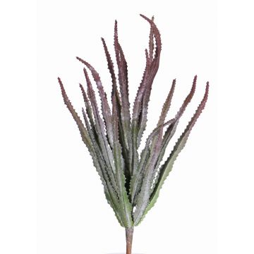 Euphorbia trigona artificiale REESE su stelo, rosso-verde, 30cm, Ø20cm