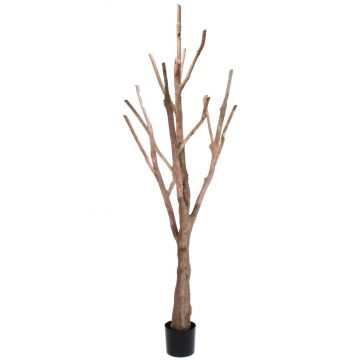 Tronco d'albero artificiale senza foglie WILKO con rami, marrone, 215cm