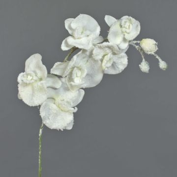 Ramo finto di orchidea phalaenopsis MYRIA, innevato, bianco, 75cm