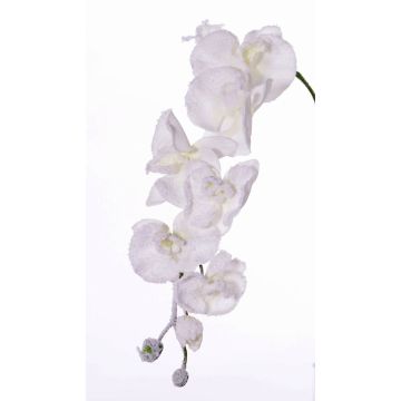 Ramo finto di orchidea phalaenopsis MYRIA, innevato, bianco, 75cm