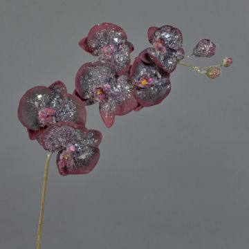 Orchidea phalaenopsis artificiale NEILA, innevato, rosso scuro, 75cm