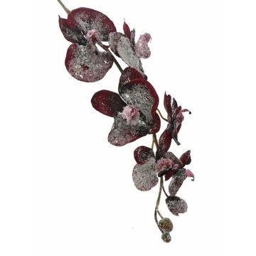 Orchidea phalaenopsis artificiale NEILA, innevato, rosso scuro, 75cm