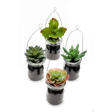 Cestino pensile di succulente artificiali LASEO in vetro, 4 pezzi, multicolore, 10cm