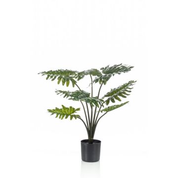 Filodendro selloum artificiale FRIO, 60cm