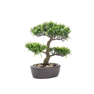Podocarpus bonsai di plastica GOYA in ciotola, 30cm