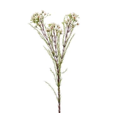Fiore di cera artificiale MEDEA, crema, 80cm