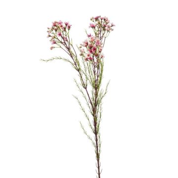Fiore di cera artificiale MEDEA, rosa, 80cm