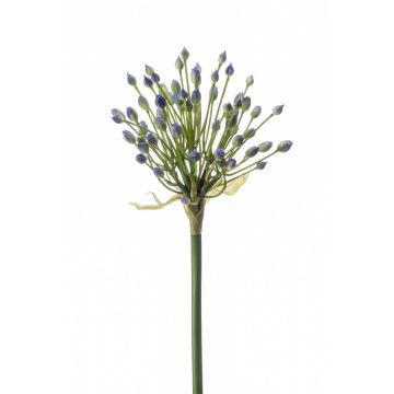 Allium artificiale KATYNA, blu, 70cm