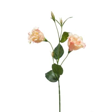 Fiore artificiale lisianthus JENO, rosa crema, 60cm