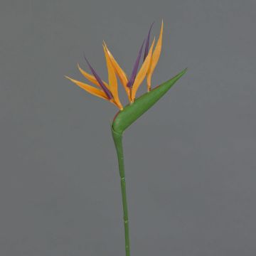 Fiore artificiale strelitzia ZETKIN, arancione-viola, 65cm