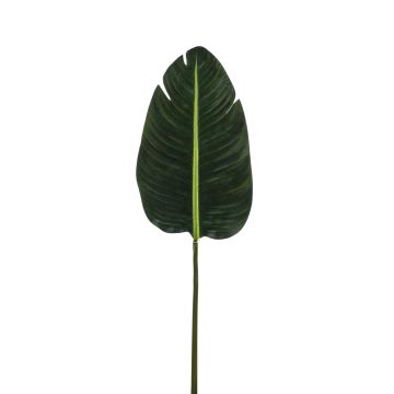 Foglia di strelitzia artificiale WOOLF, verde, 100cm