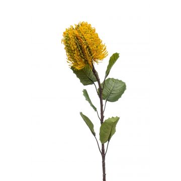 Fiore artificiale banksia CONAKIR, giallo, 55cm