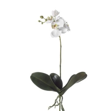 Orchidea phalaenopsis artificiale FAO su stelo, bianco, 45cm