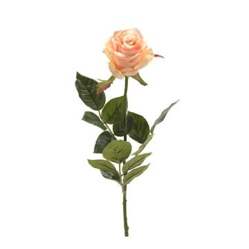 Rosa artificiale BRINA crema-rosa, 70cm