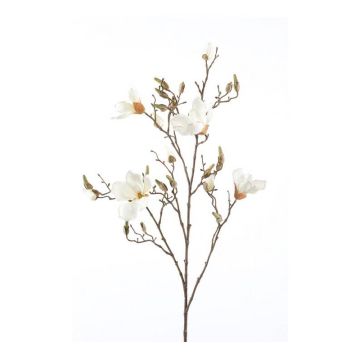 Magnolia artificiale CAELO, crema, 105cm