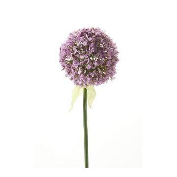 Allium artificiale DURBAN, viola chiaro, 70cm