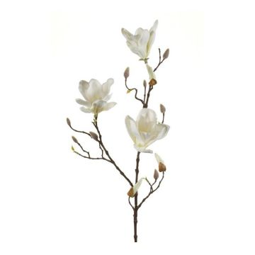 Magnolia artificiale MALVAO, crema, 90cm